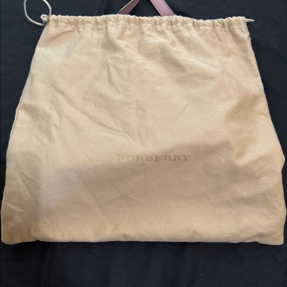 Burberry Dusty Pink Leather Crossbody Bag Gold Hardware - Picture 15 of 15